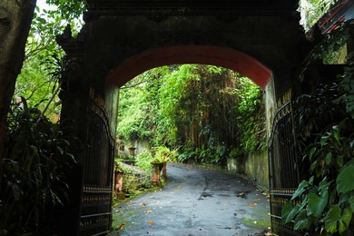 Photo of Park entrance and pathway near beautiful green plants in city