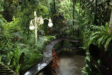 Photo of Many different beautiful green plants and street lamp in park