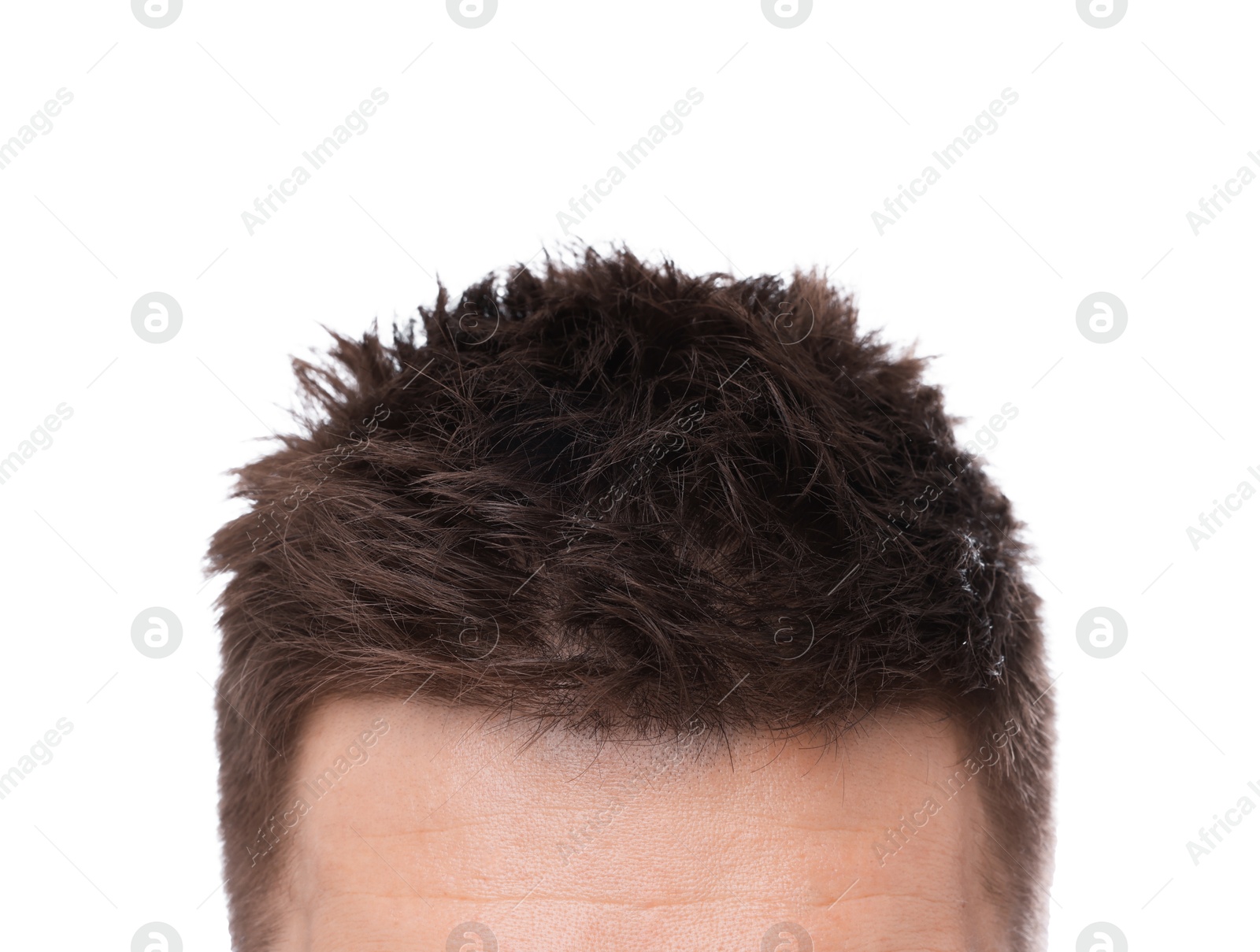 Man with brown hair on white background, closeup Photo of Man with brown hair on white background, closeup