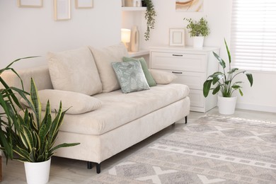 Photo of Comfortable sofa and stylish rug in room. Interior design