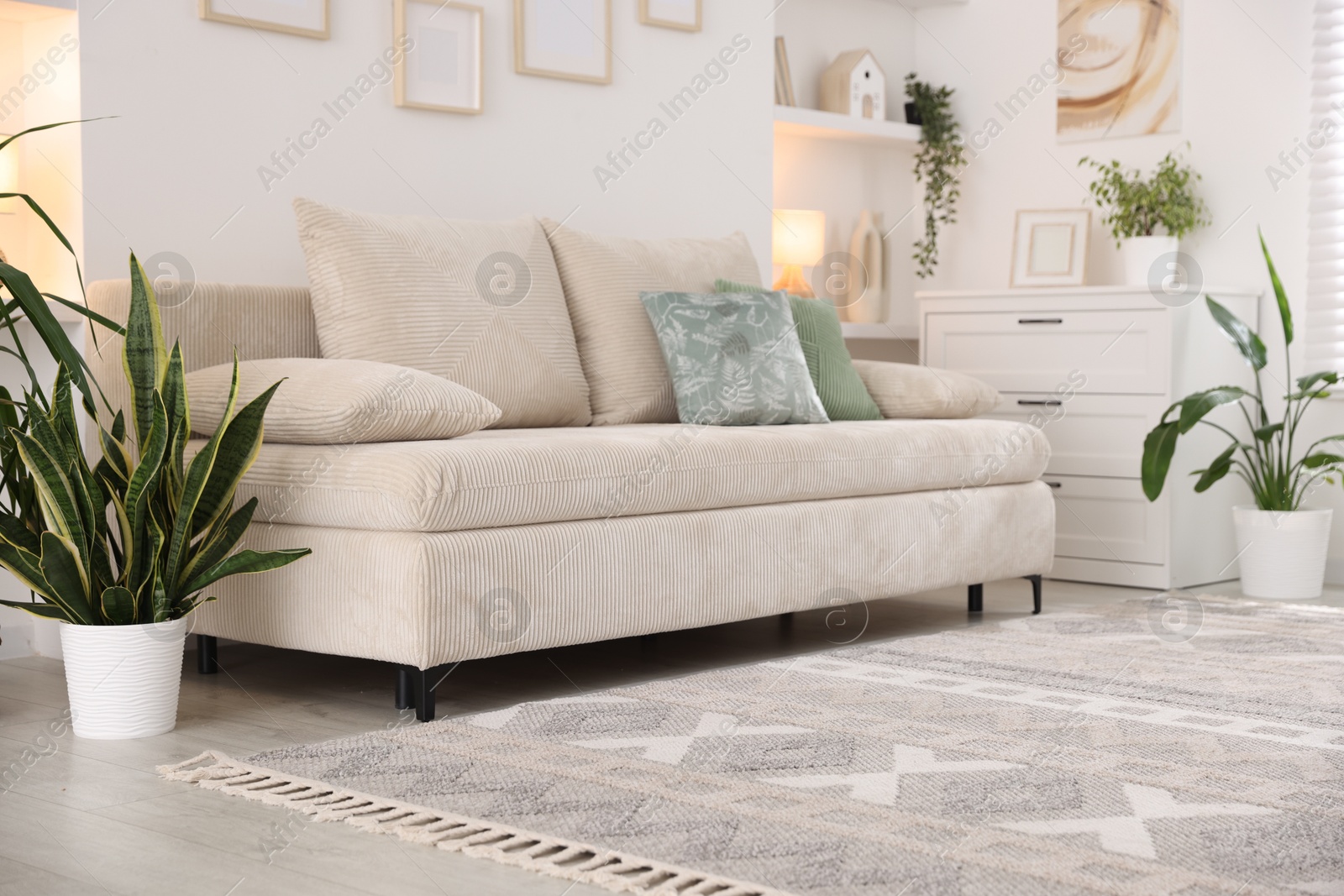 Comfortable sofa and stylish rug in room. Interior design Photo of Comfortable sofa and stylish rug in room. Interior design