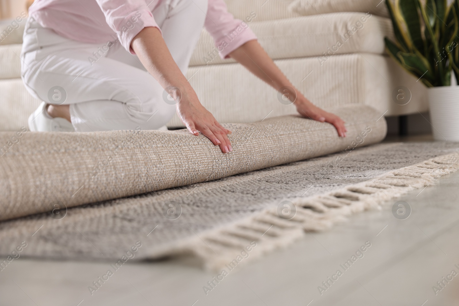 Woman putting new rug on floor at home, closeup Photo of Woman putting new rug on floor at home, closeup