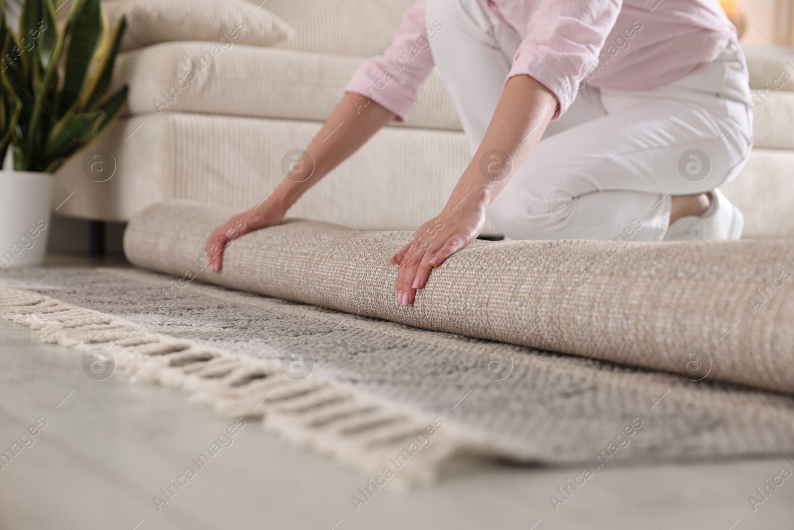 Woman putting new rug on floor at home, closeup Photo of Woman putting new rug on floor at home, closeup