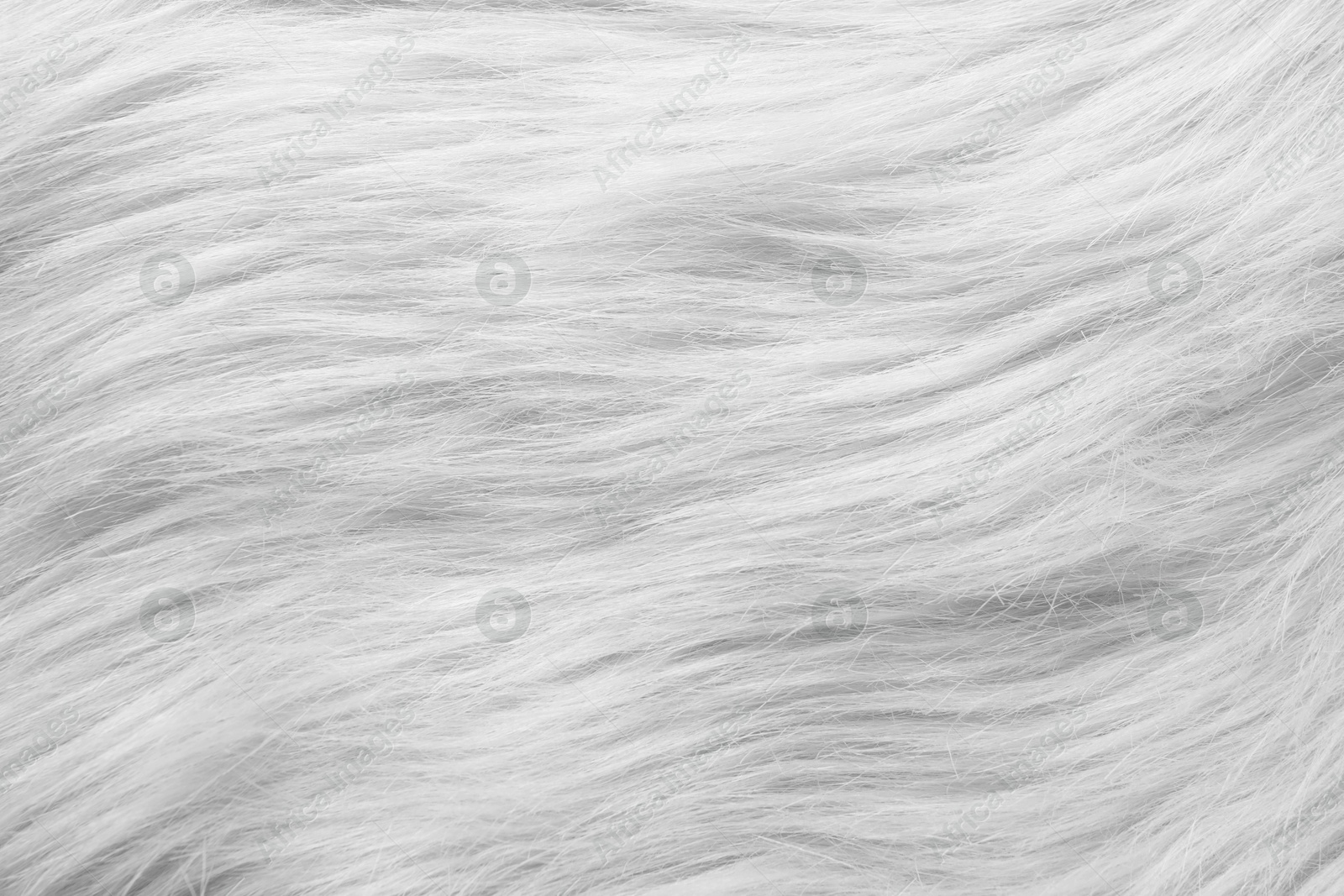 Texture of white furry fabric as background, closeup Image of Texture of white furry fabric as background, closeup