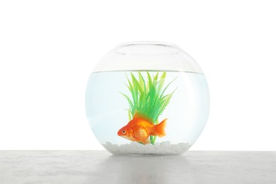 Photo of Gold fish swimming in aquarium with clean water on light textured table against white background