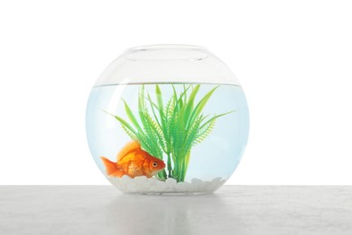 Photo of Gold fish swimming in aquarium with clean water on light textured table against white background