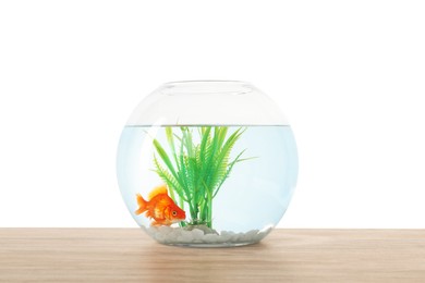 Photo of Gold fish swimming in aquarium with clean water on wooden table against white background