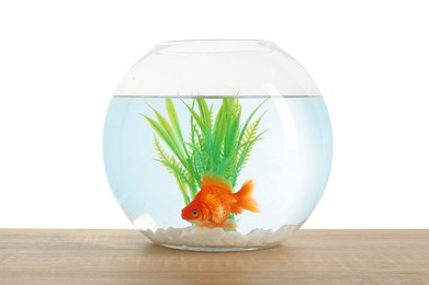 Photo of Gold fish swimming in aquarium with clean water on wooden table against white background