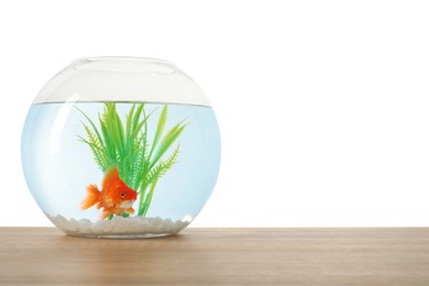 Photo of Gold fish swimming in aquarium with clean water on wooden table against white background. Space for text
