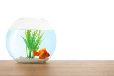 Photo of Gold fish swimming in aquarium with clean water on wooden table against white background. Space for text