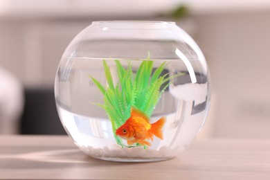 Photo of Gold fish swimming in aquarium with clean water on wooden table against blurred background, closeup