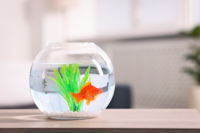 Photo of Gold fish swimming in aquarium with clean water on white table indoors, closeup. Space for text