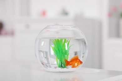 Photo of Gold fish swimming in aquarium with clean water on white table against blurred background, closeup