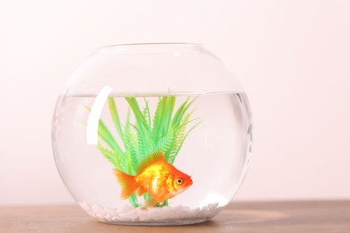 Photo of Gold fish swimming in aquarium with clean water on wooden table against light background, closeup