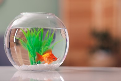 Photo of Gold fish swimming in aquarium with clean water on white table indoors, closeup. Space for text