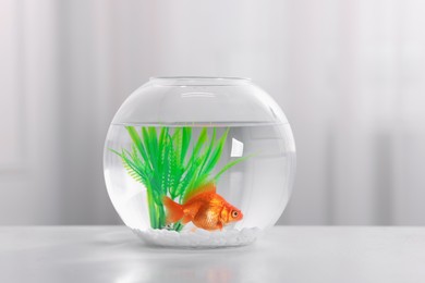 Photo of Gold fish swimming in aquarium with clean water on light grey table against blurred background, closeup