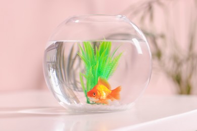 Photo of Gold fish swimming in aquarium with clean water on white table indoors, closeup