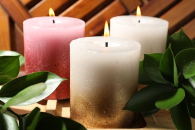 Photo of Burning candles and green leaves on wooden tray, closeup