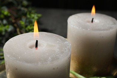 Photo of Burning candles and green leaves on table, closeup