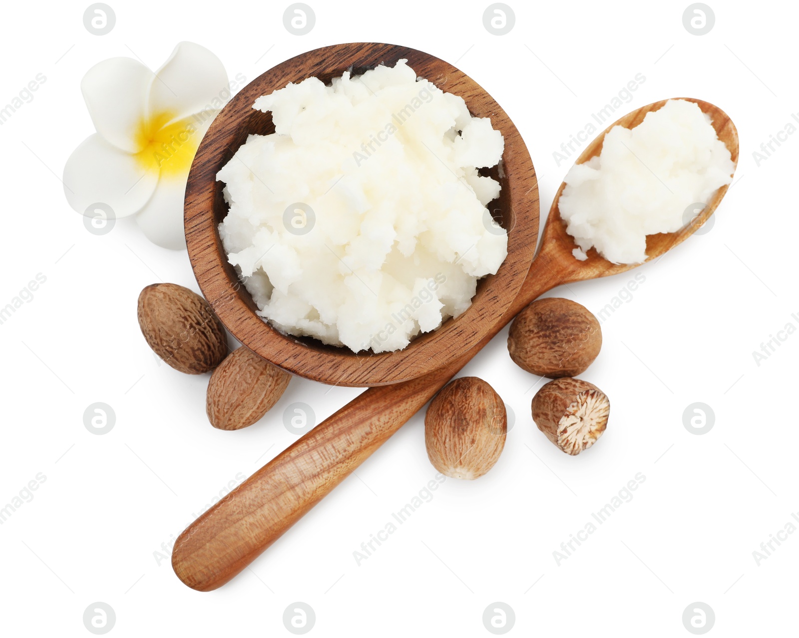 Shea butter in bowl, spoon, nuts and flower isolated on white, top view Photo of Shea butter in bowl, spoon, nuts and flower isolated on white, top view