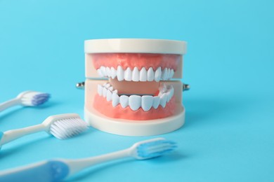 Photo of Dental model and toothbrushes on light blue background, closeup