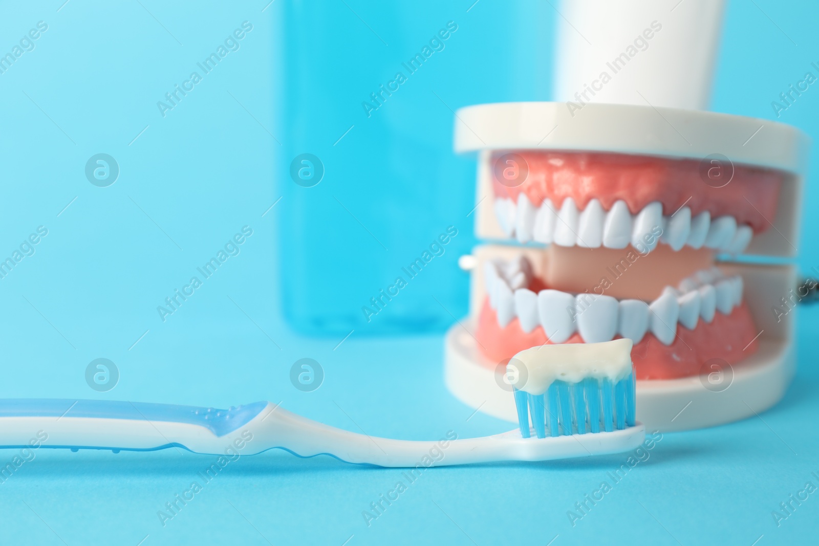 Dental model, mouthwash and toothbrush with paste on light blue background, closeup Photo of Dental model, mouthwash and toothbrush with paste on light blue background, closeup