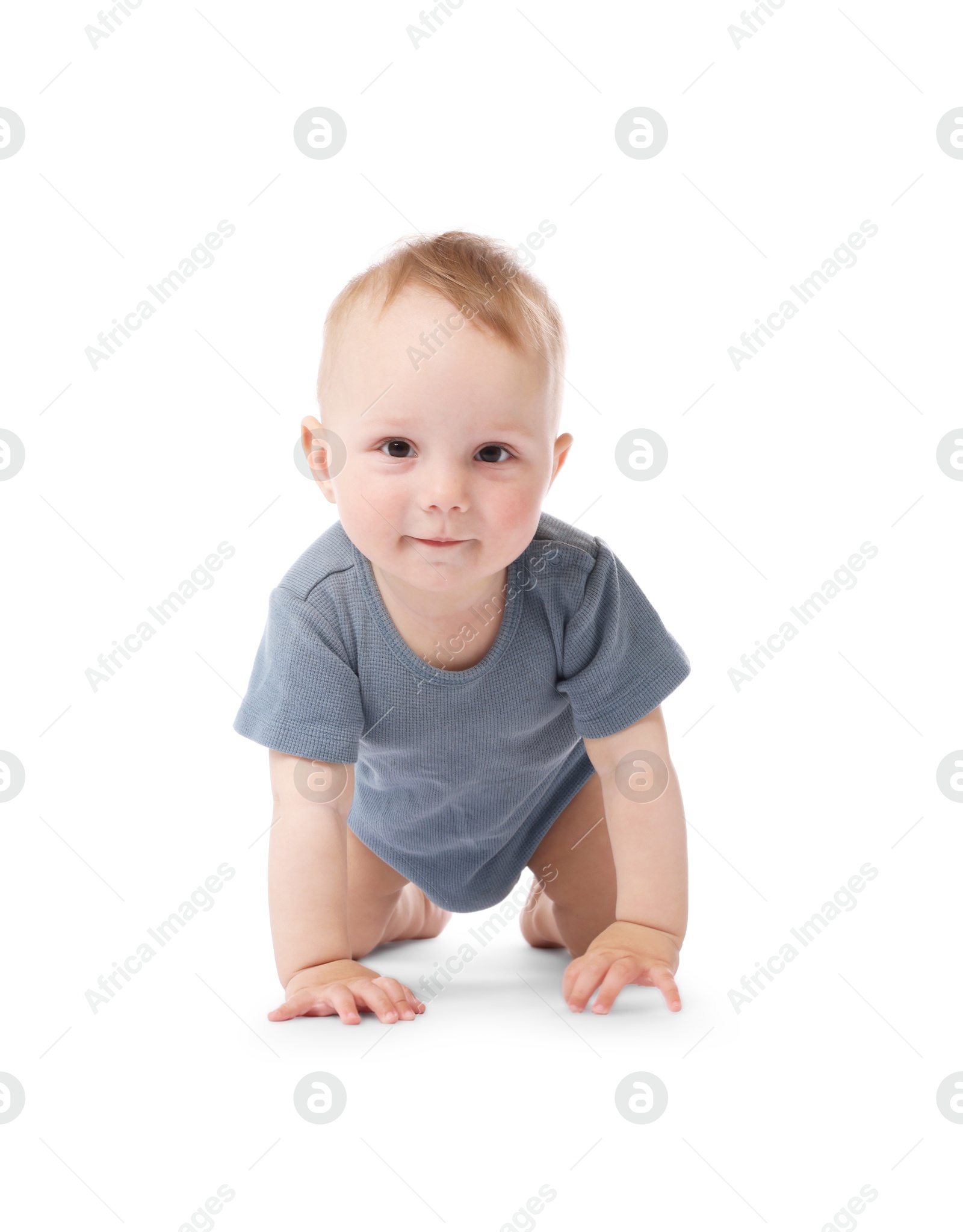Cute little baby crawling on white background Photo of Cute little baby crawling on white background