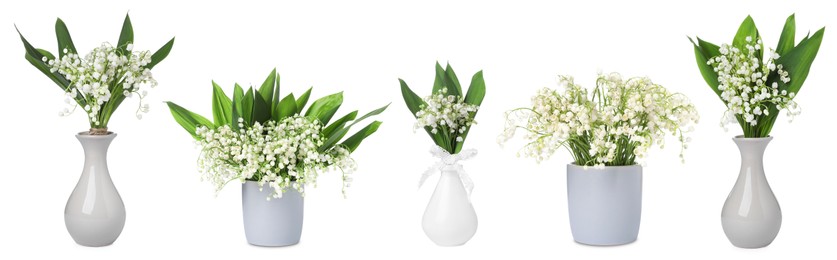 Image of Aromatic bouquets of lily of the valley flowers in different vases isolated on white, collage