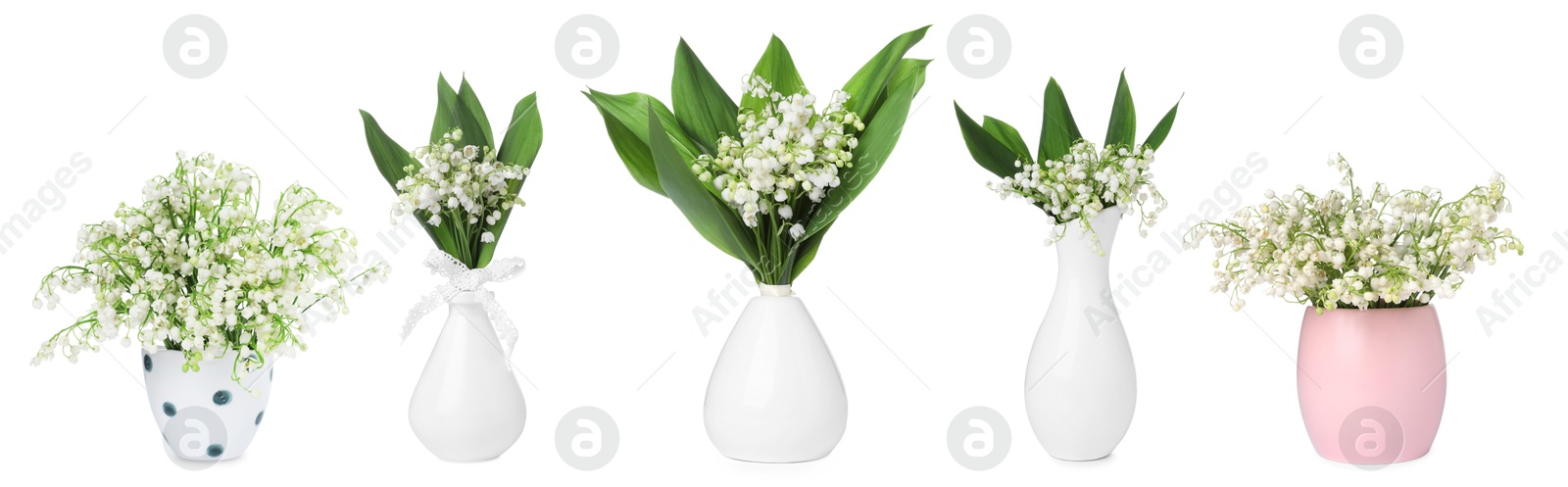 Aromatic bouquets of lily of the valley flowers in different vases isolated on white, collage Image of Aromatic bouquets of lily of the valley flowers in different vases isolated on white, collage