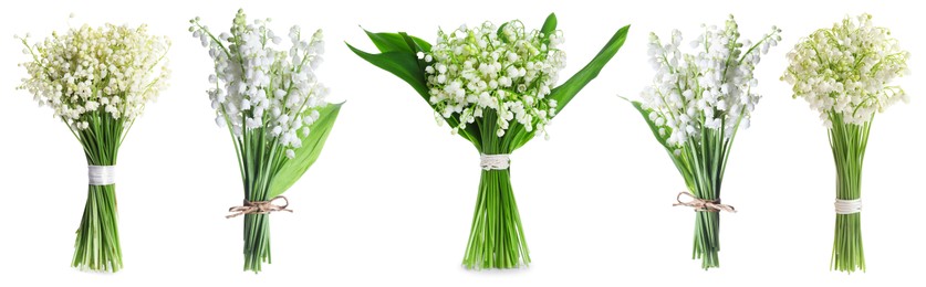 Image of Aromatic bouquets of lily of the valley flowers isolated on white, collage