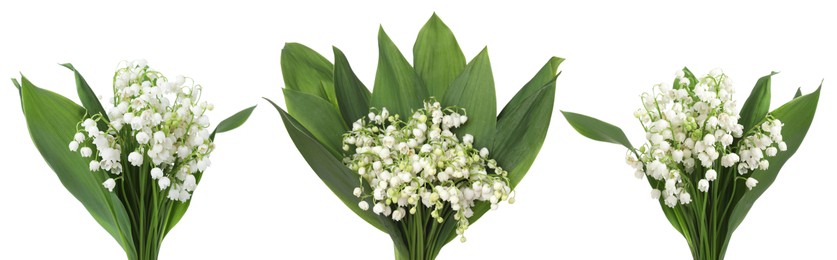 Image of Aromatic bouquets of lily of the valley flowers isolated on white, collage