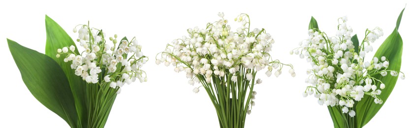 Image of Aromatic bouquets of lily of the valley flowers isolated on white, collage