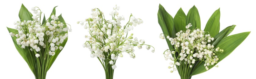 Image of Aromatic bouquets of lily of the valley flowers isolated on white, collage