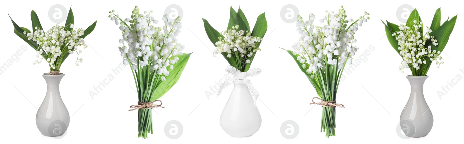 Aromatic bouquets of lily of the valley flowers isolated on white, collage Image of Aromatic bouquets of lily of the valley flowers isolated on white, collage