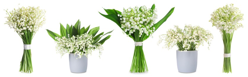 Image of Aromatic bouquets of lily of the valley flowers isolated on white, collage
