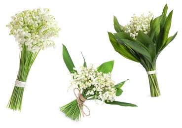 Image of Aromatic bouquets of lily of the valley flowers isolated on white, collage