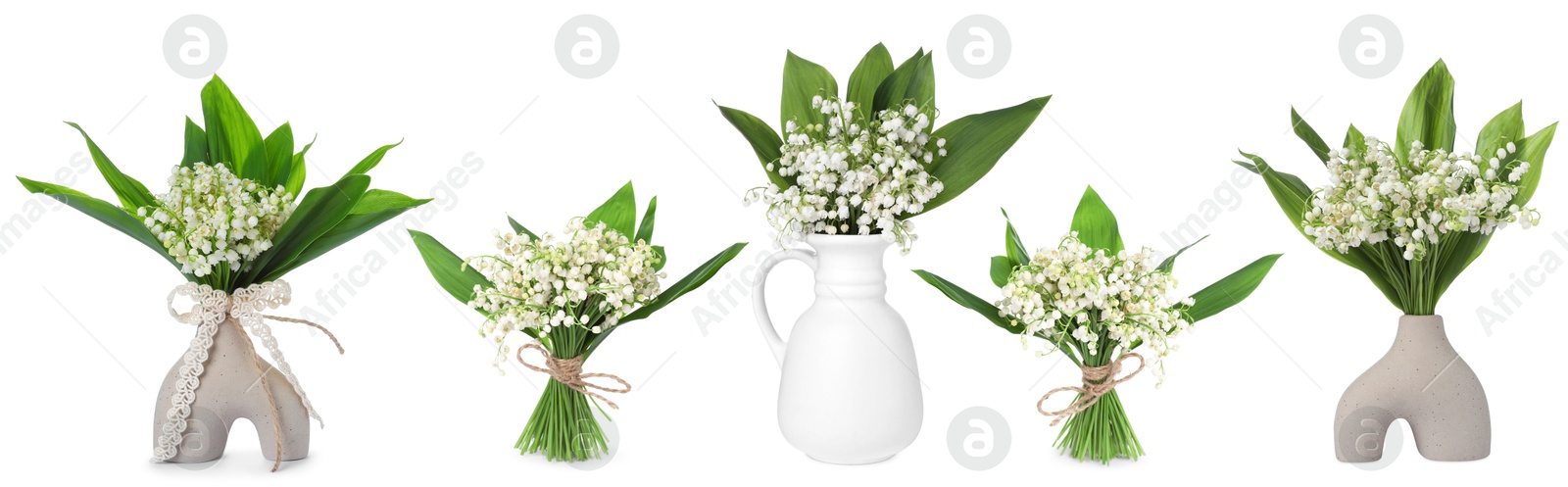 Aromatic bouquets of lily of the valley flowers isolated on white, collage Image of Aromatic bouquets of lily of the valley flowers isolated on white, collage