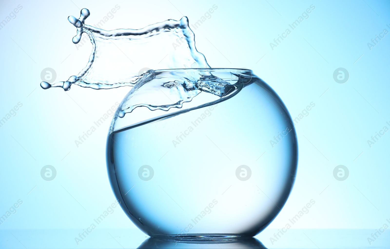 Glass aquarium with water on light blue background Photo of Glass aquarium with water on light blue background
