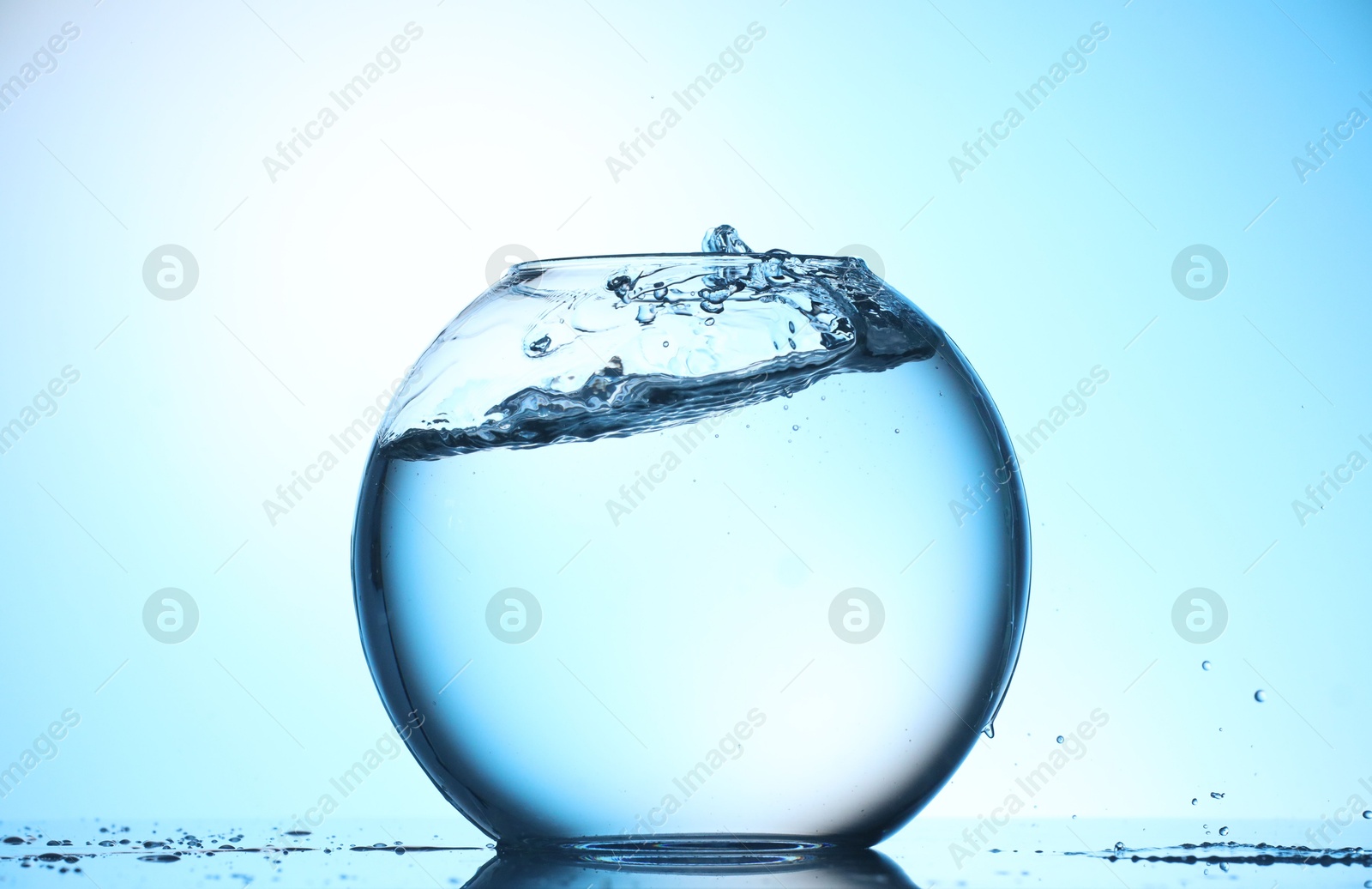Glass aquarium with water on light blue background Photo of Glass aquarium with water on light blue background