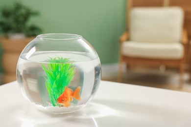 Photo of Gold fish swimming in aquarium with clean water on white table indoors, space for text