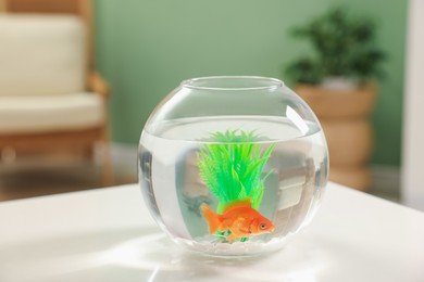 Photo of Gold fish swimming in aquarium with clean water on white table indoors