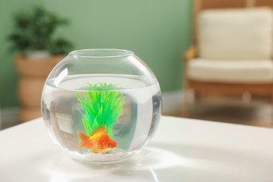 Photo of Gold fish swimming in aquarium with clean water on white table indoors, space for text