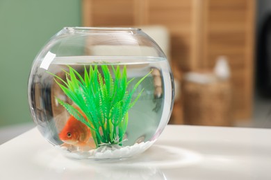 Photo of Gold fish swimming in aquarium with clean water on white table indoors