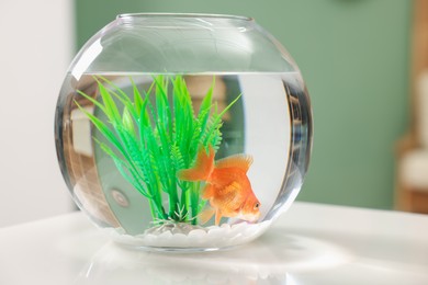 Photo of Gold fish swimming in aquarium with clean water on white table indoors, closeup
