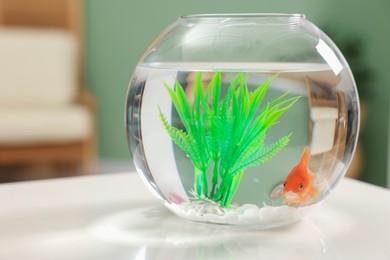 Photo of Gold fish swimming in aquarium with clean water on white table indoors, closeup