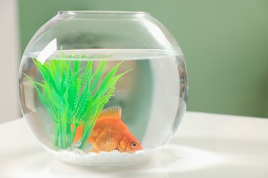 Photo of Gold fish swimming in aquarium with clean water on white table indoors, closeup