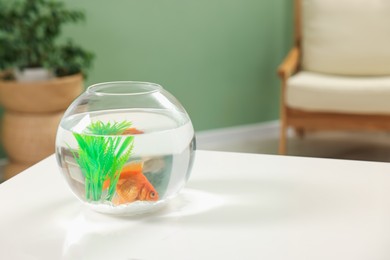 Photo of Gold fish swimming in aquarium with clean water on white table indoors, space for text