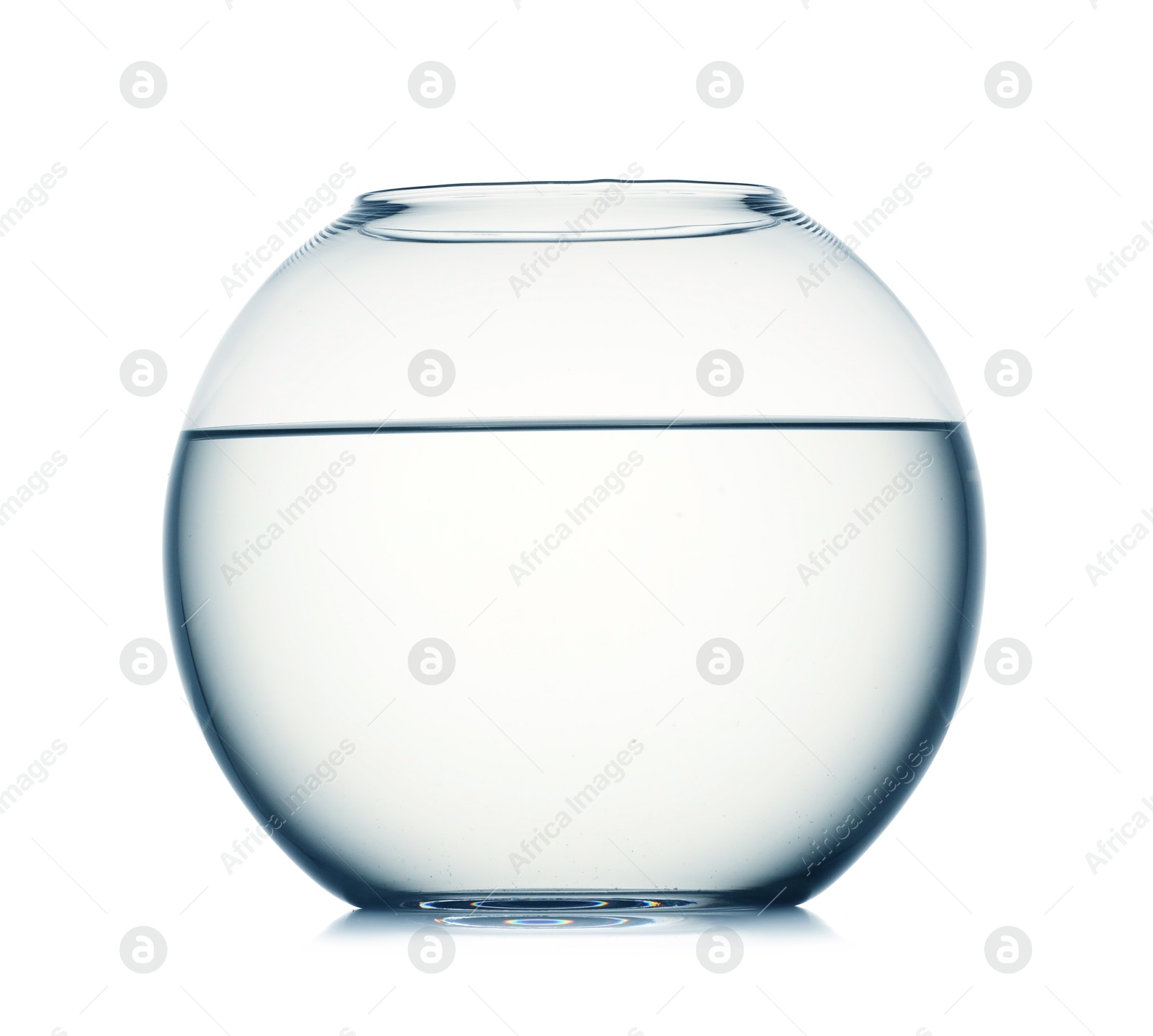 Glass aquarium with water isolated on white Photo of Glass aquarium with water isolated on white