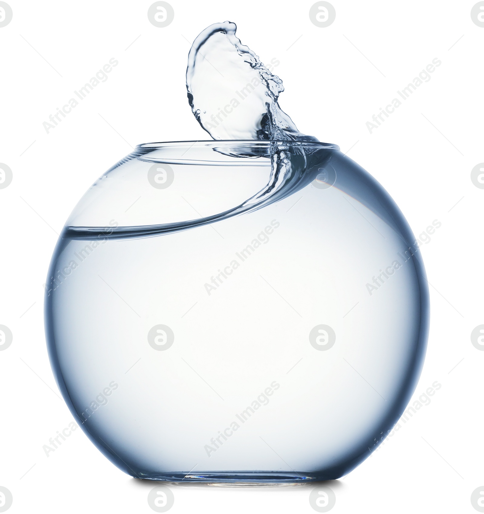 Glass aquarium with splashing water isolated on white Photo of Glass aquarium with splashing water isolated on white