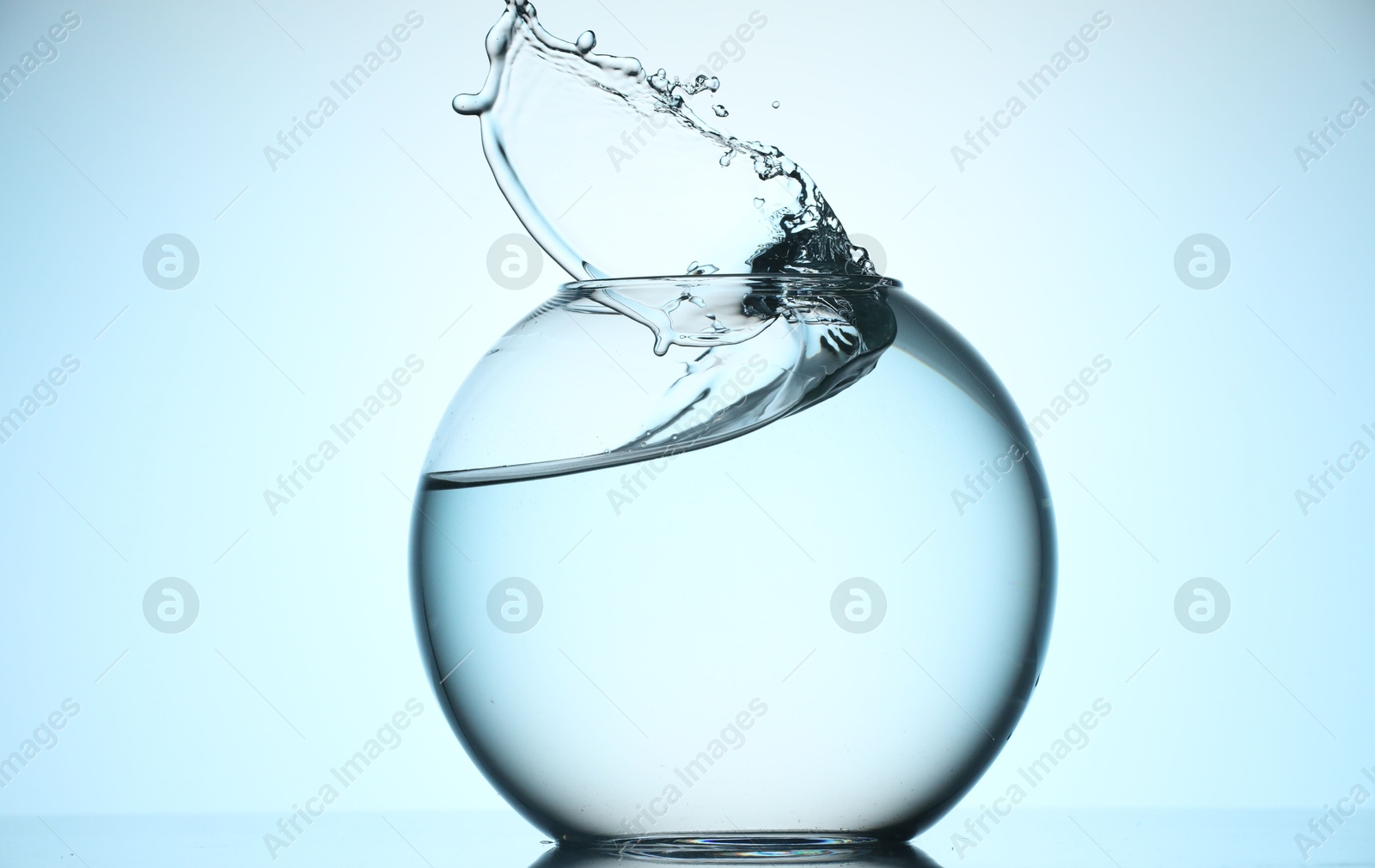 Glass aquarium with water on light blue background Photo of Glass aquarium with water on light blue background